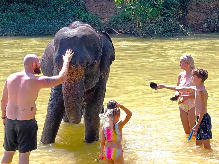 Phuket: Khao Sok Private Elephant Day Care and Bamboo Raft - Phuket to Khao Sok: the day that actually feels like a journey