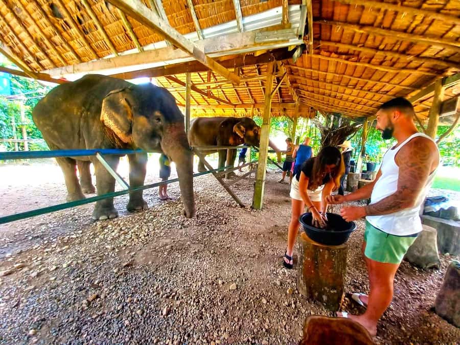 Phuket: Khao Sok Private Elephant Day Care and Bamboo Raft - Sok River bamboo rafting: the calm part of the day (with wildlife odds)