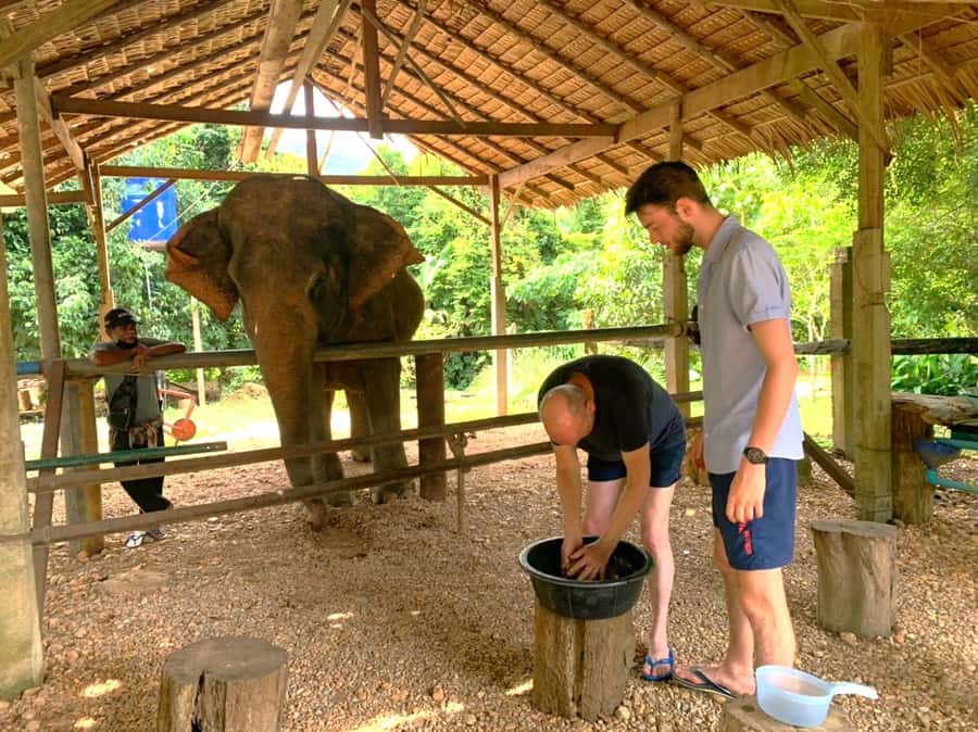 Phuket: Khao Sok Private Elephant Day Care and Bamboo Raft - Thongsuk Elephant Park: feeding, medicinal supplements, and mud-bathing