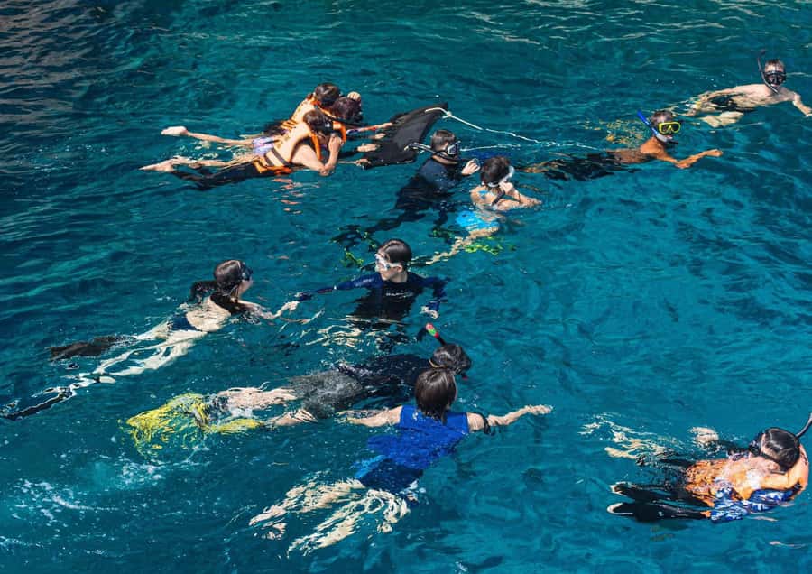Phuket/Khaolak: Similan Islands Speed Catamaran Premium Trip - Should you book this tour or choose something else?