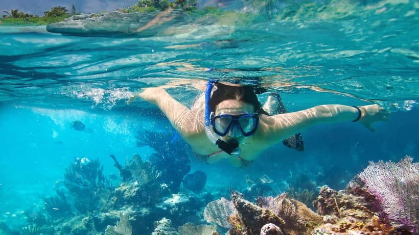 Phuket : Lazy Similan Islands by Catamaran with lunch - Price and Value: Why $151 Often Works Here