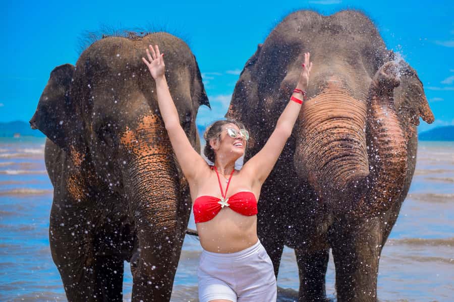 Phuket: Lily Elephant Half day Trip on the Beach with lunch - Key Highlights Worth Your Time