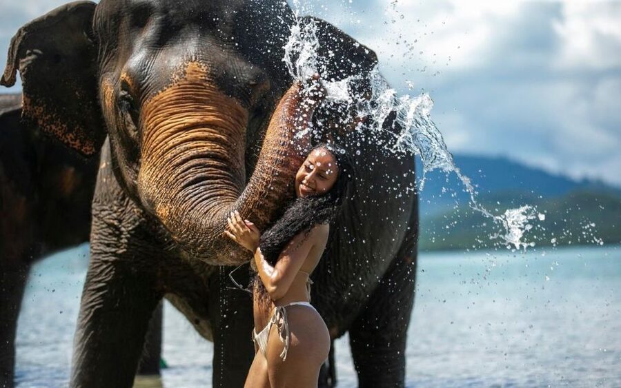 Phuket: Lily Elephant Half day Trip on the Beach with lunch - What to Bring (So Your Day Doesn’t Feel Like a Laundry Emergency)