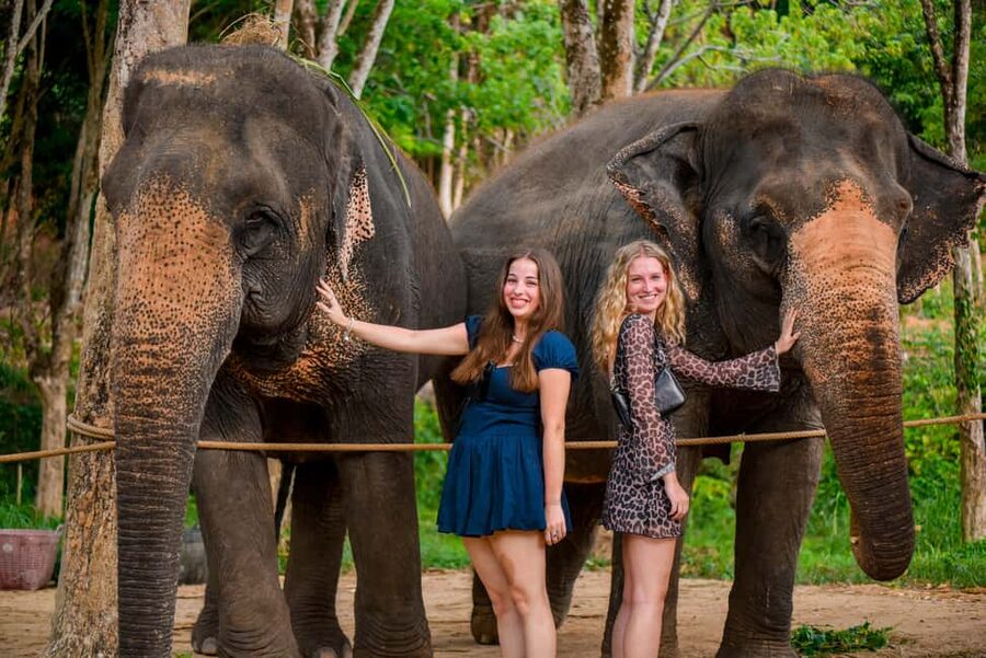 Phuket: Make & Meet The Gentle Giant Experience - Rolling Elephant Vitamin Balls: A Messy, Meaningful Craft