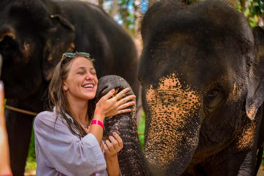 Phuket: Make & Meet The Gentle Giant Experience - Wildlife Viewing for 2.5 Hours: Time to Watch, Not Just Do
