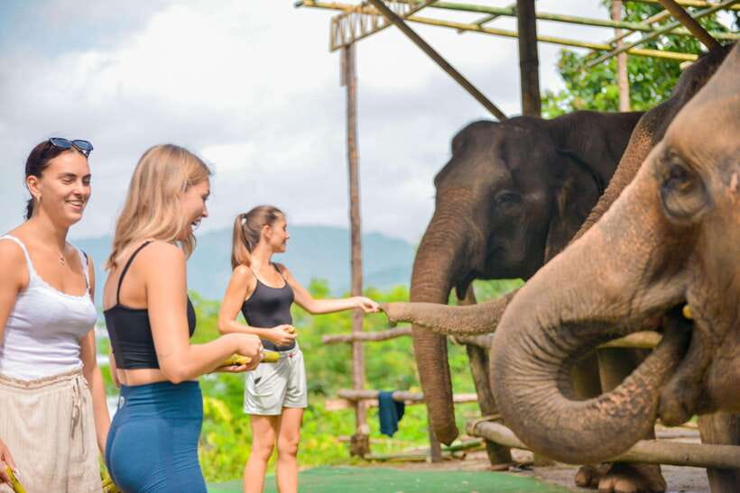 Phuket: Make & Meet The Gentle Giant Experience - What’s Included, What Isn’t, and How This Price Adds Up