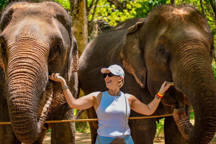 Phuket: Make & Meet The Gentle Giant Experience - Languages, Pace, and the Team Support You’ll Appreciate
