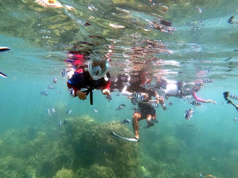 Phuket: Maya Bay, Phi Phi, Green, and Khai Islands Day Trip - A Speedboat Day Around Phuket’s Famous Movie Coast