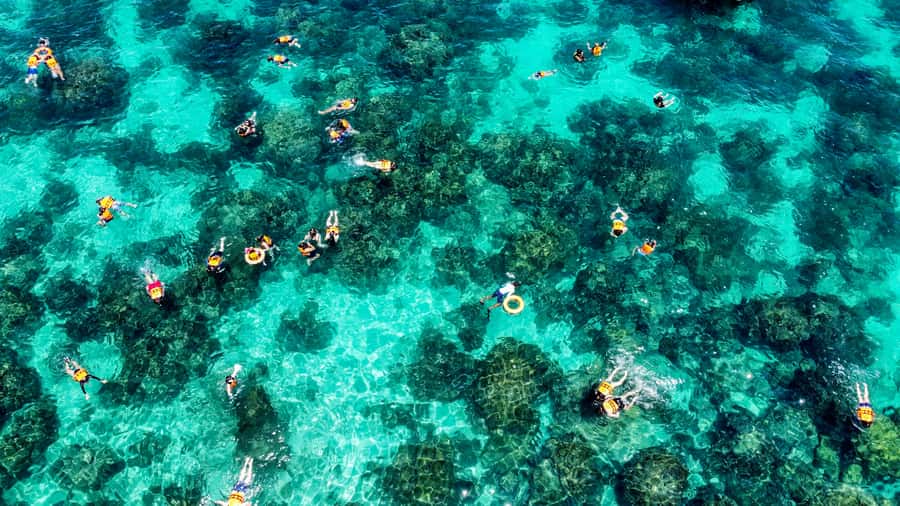 Phuket: Maya, Phi Phi, and Bamboo Island with Buffet Lunch - Key things to know before you go
