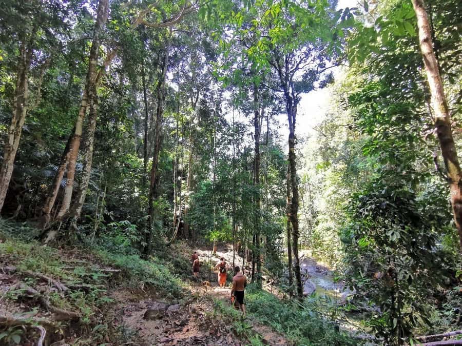 Phuket: Monkey Cave, Water Rafting, Zipline with ATV Option - Tips to make the day smoother: packing, weight limits, and expectations