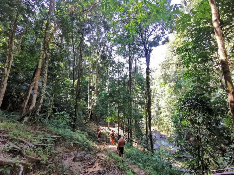 Phuket: Monkey Cave, Water Rafting, Zipline with ATV Option - Lunch at the camp and the forest park mini-trek