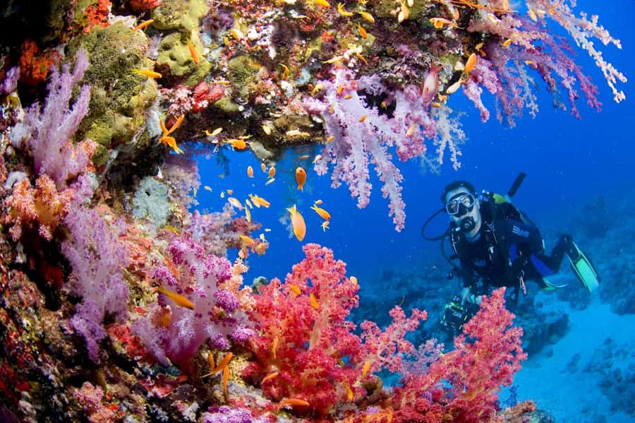 Phuket: PADI Advanced Open Water Course 2 days/6 Dives - Key things to know before you go