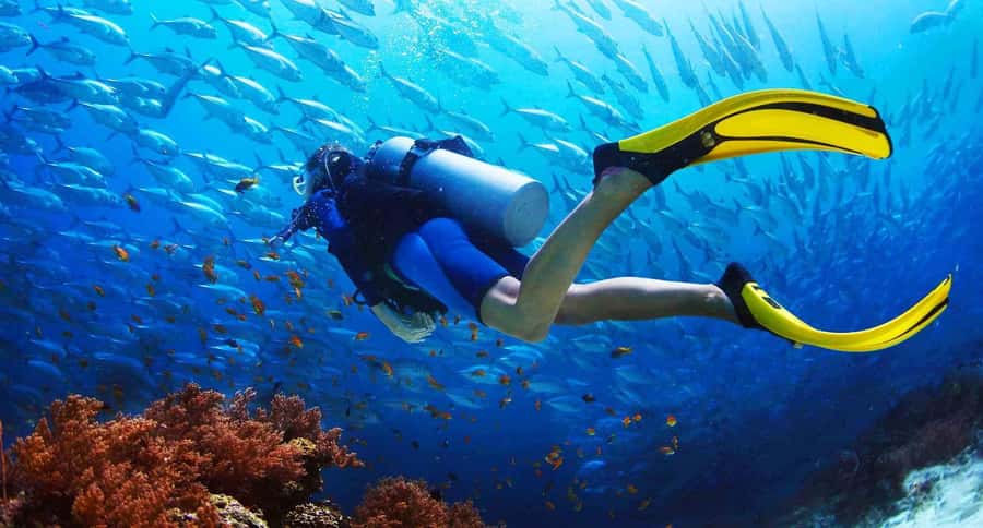 Phuket: PADI Advanced Open Water Course 2 days/6 Dives - Phuket pickup and the Racha route: how your first day starts