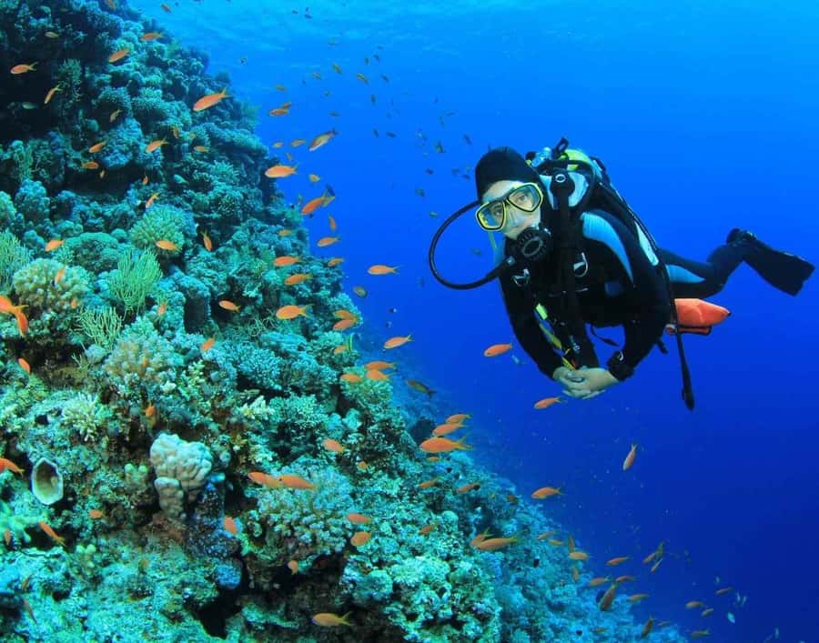 Phuket: PADI Advanced Open Water Course 2 days/6 Dives - The 50-minute underwater sessions: timing, air limits, and what to expect