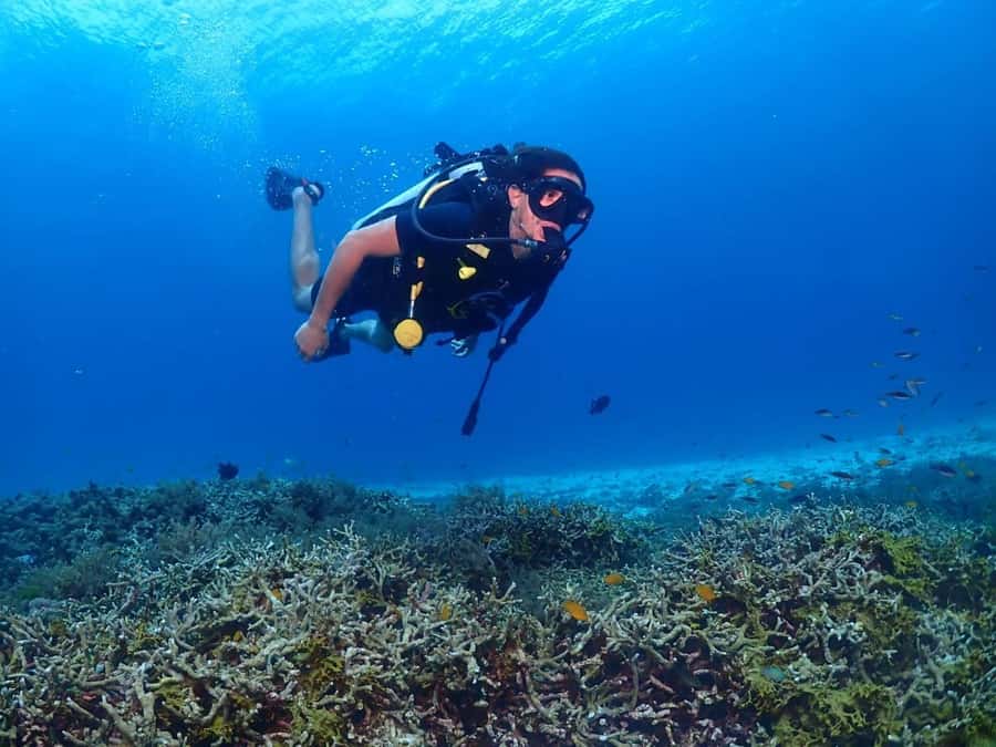 Phuket: PADI Advanced Open Water Course 2 days/6 Dives - Racha Yai and Racha Noi: reefs, visibility, and why these sites fit Advanced training