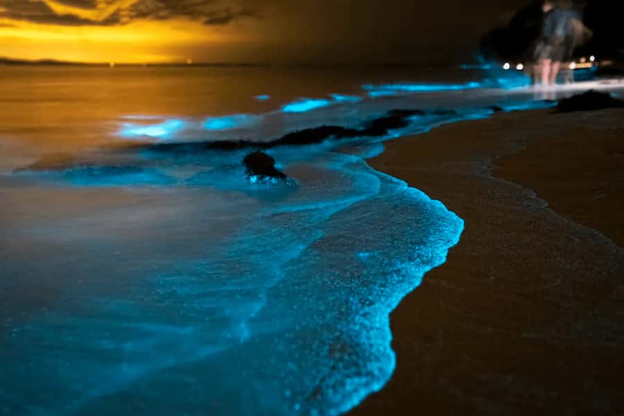 Phuket: Phang Nga Bay Bioluminescent Plankton and Sea Canoes - Panak Island cave time: Diamond Cave and mangrove-style rock drama