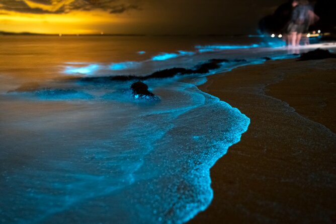 Phuket: Phang Nga Bay Bioluminescent Plankton and Sea Canoes tour - Phuket Boat Lagoon to Koh Phanak: Cave Time That Sets the Tone
