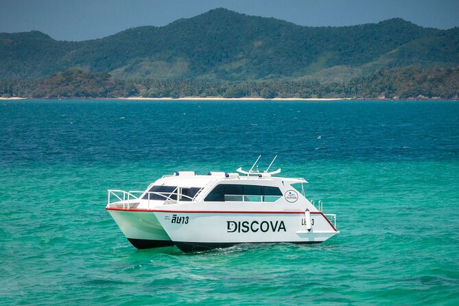 Phuket: Phang Nga Bay Bioluminescent Plankton and Sea Canoes tour - The Night Plankton Stop: What You Can Expect in Real Life