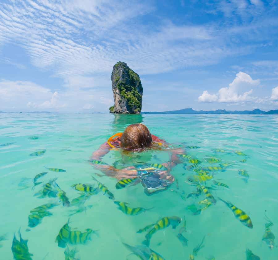 Phuket: Phi Phi & Bamboo Island Day Trip with Buffet Lunch - Price and what’s included: is $109 worth it?
