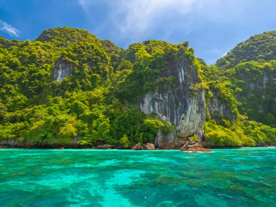 Phuket: Phi Phi & Bamboo Island Day Trip with Buffet Lunch - Viking Cave cruise-by: bird’s nest tradition in plain terms