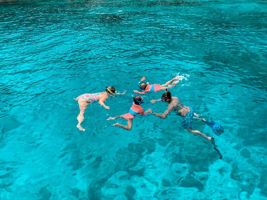 Phuket: Phi Phi & Bamboo Island Day Trip with Buffet Lunch - Monkey Beach and Yongkasem: snorkeling plus real macaque sightings