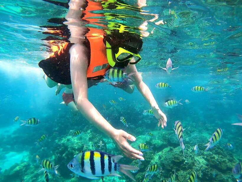 Phuket: Phi Phi Islands and Maya Bay Day Trip with Lunch - Phi Phi Don Lunch by the Beach: The Best Midday Reset