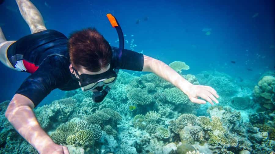 Phuket: Phi Phi Islands, Bamboo Island and Pileh Lagoon Trip - Viking Cave and the photo line: seeing the coastline without getting stuck