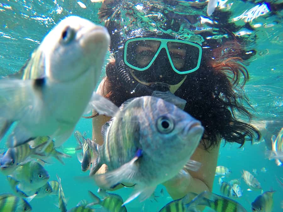 Phuket: Phi Phi & James Bond Island Combo Day Tour w/Lunch - What This Day Tour Does Best: A One-Day Island Stack