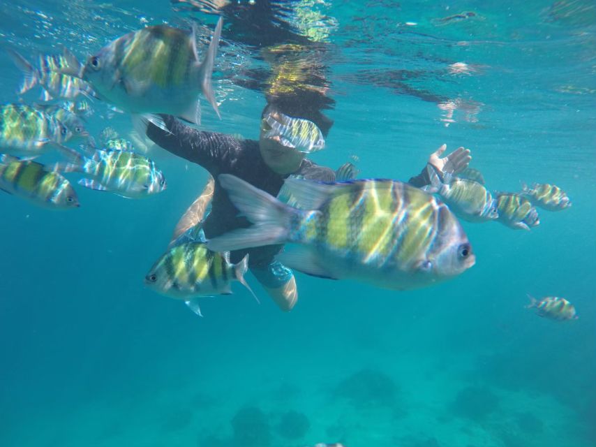 Phuket: Phi Phi & Khai Island Private Speedboat Charter Tour - Lunch box on the beach, plus real time for your kind of wandering