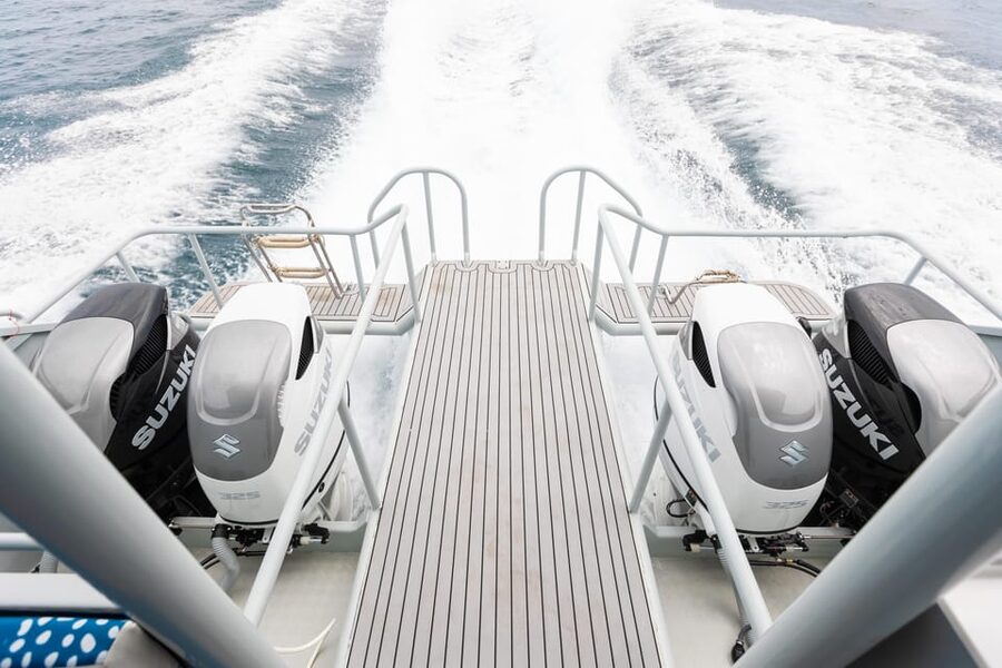 Phuket: Phi Phi Maiton Island Sunset Premium Catamaran Tour - Snorkeling around the Phi Phi Islands: what you’ll likely see