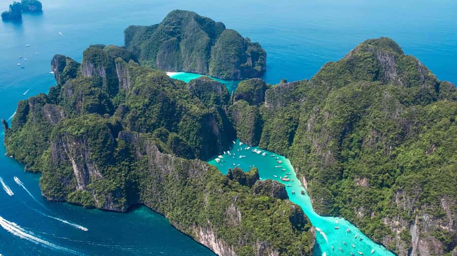 Phuket: Phi Phi, Maya & Bamboo By Premium Speed Catamaran - Viking Cave and Monkey Bay: short sightings that still help you orient