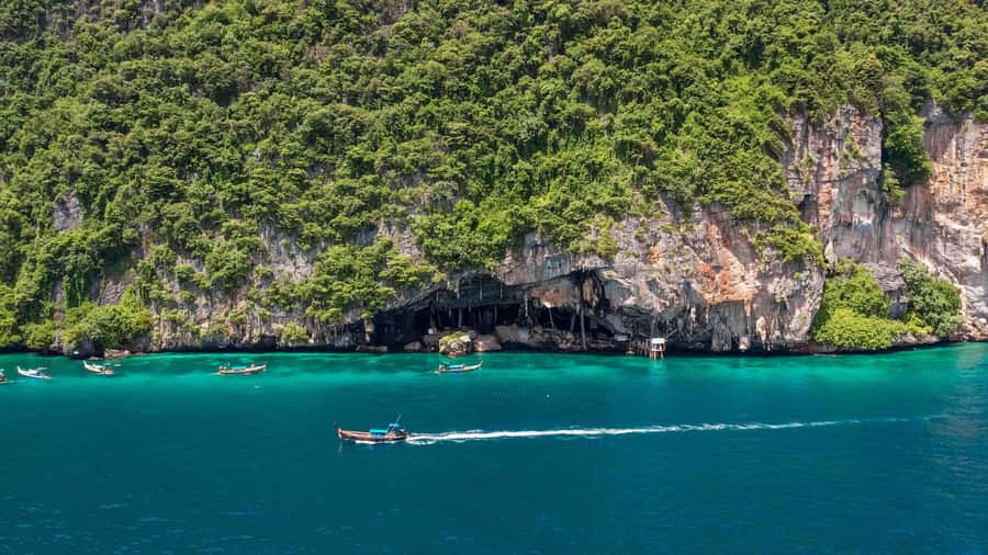 Phuket: Phi Phi, Maya & Bamboo By Premium Speed Catamaran - Phi Phi Don snorkeling and lunch: the best payoff for your time
