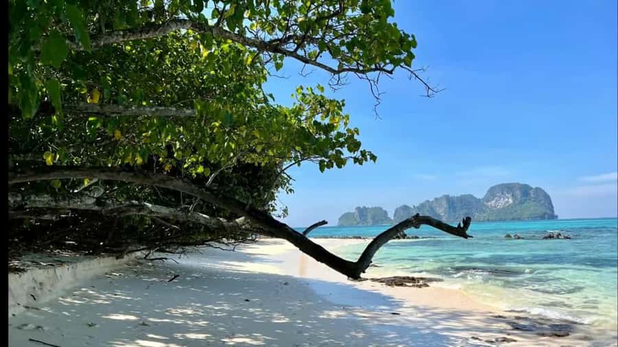 Phuket: Phi Phi, Maya, Khai or Maiton or Bamboo Island Tour - Transport reality check: fast days can still have slow moments