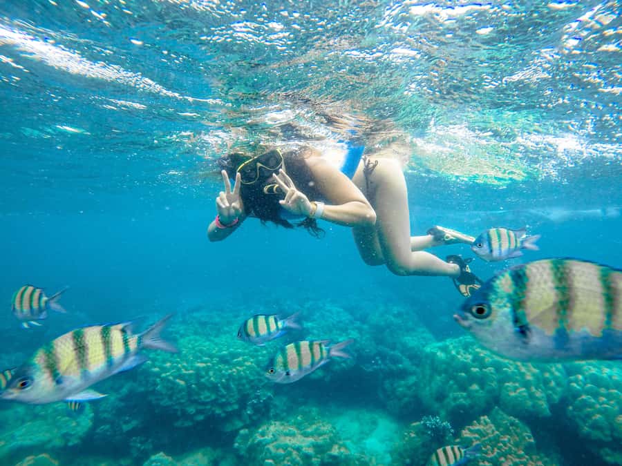 Phuket: Phi Phi Sunrise Boat Tour to Bamboo and Khai Island - Maya Bay From the Waterline: Photos, Walking Time, and Current Rules