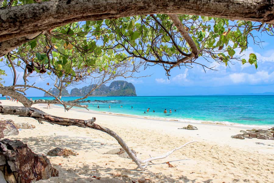 Phuket: Phi Phi Sunrise Boat Tour to Bamboo and Khai Island - Ko Phi Phi Don: Marine Life Viewing Without Overnight Packing