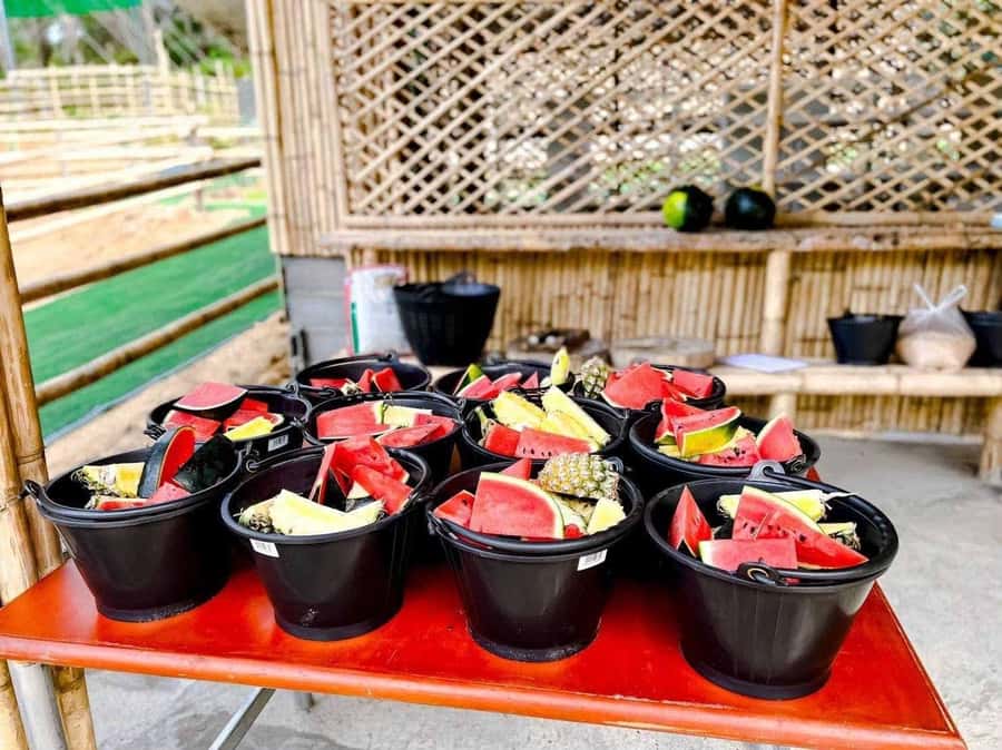 Phuket: Phuket Elephant Care Sanctuary ECO Tour - Key highlights you’ll feel immediately