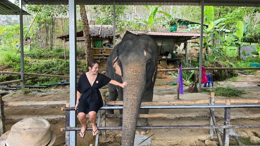 Phuket: Phuket Elephant Care Sanctuary ECO Tour - Hotel pickup to sanctuary: getting there without stress
