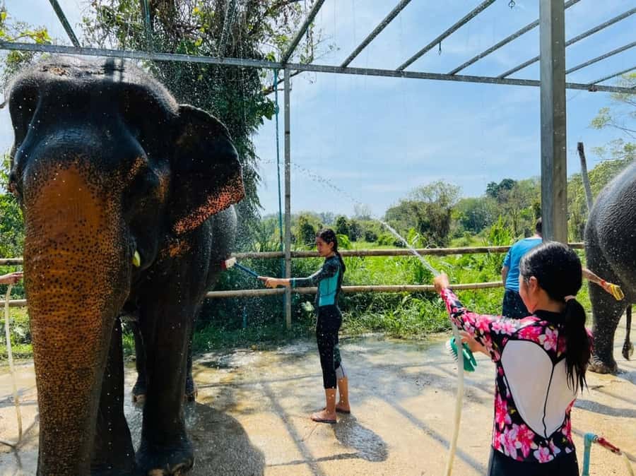 Phuket: Phuket Elephant Care Sanctuary ECO Tour - What to bring (and what to leave behind) for mud-season success