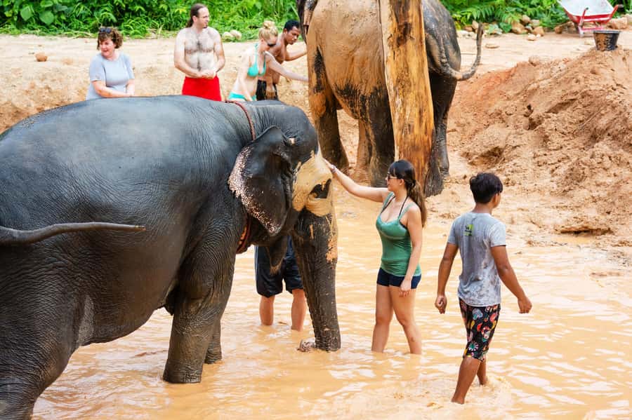 Phuket: Phuket Elephant Sanctuary, Wat Chalong & more - The paper-making stop: a quiet cultural break that’s easy to miss