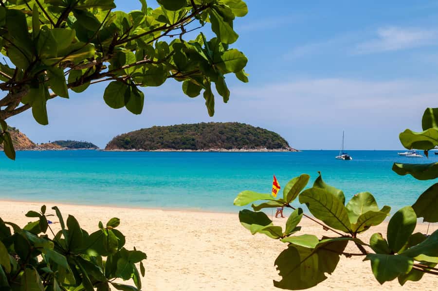 Phuket: Phuket Elephant Sanctuary, Wat Chalong & more - Price and value at about $192 per person