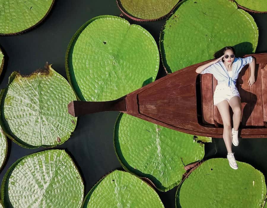 Phuket: Private & All-Inclusive Giant Water Lilies Tour - The drone-shot moment: how to get the best result without fuss