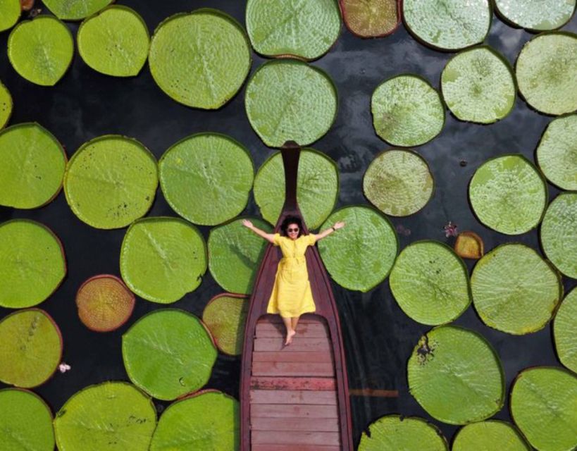 Phuket: Private & All-Inclusive Giant Water Lilies Tour - On the water: standing on lilies and the long-tail boat feel