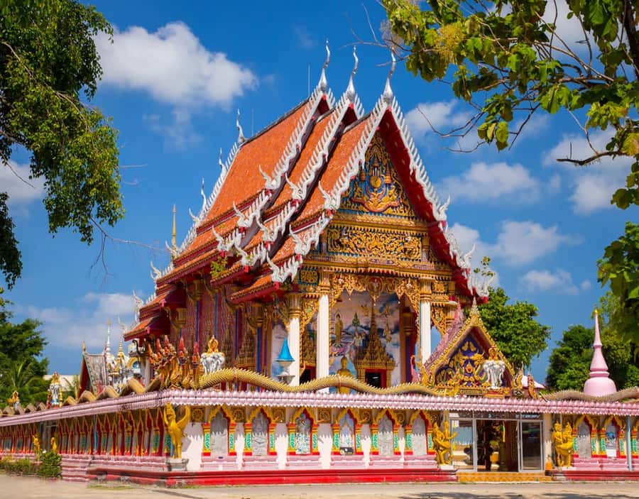 Phuket: Private & All-Inclusive Giant Water Lilies Tour - Temple stop 1: Wat Phra Thong and the half-buried golden Buddha
