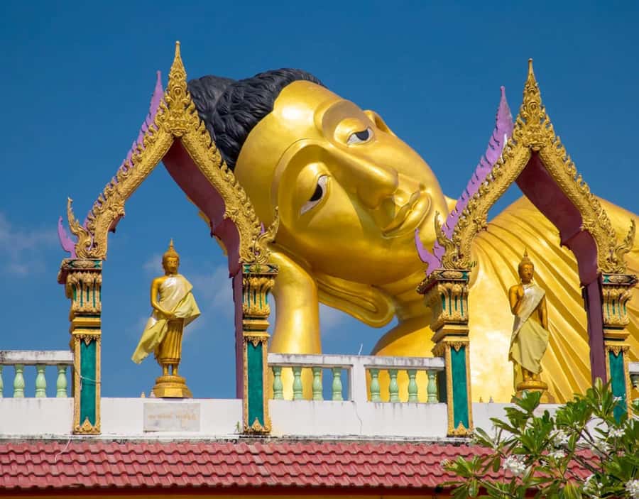 Phuket: Private & All-Inclusive Giant Water Lilies Tour - Photography support: guides like Nick, Anny, and Bessica make it easier