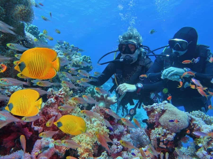 Phuket: Racha Island and Coral Islands + Scuba Beach Dive - Kon Kare Bay or Papok Beach snorkeling: what to focus on