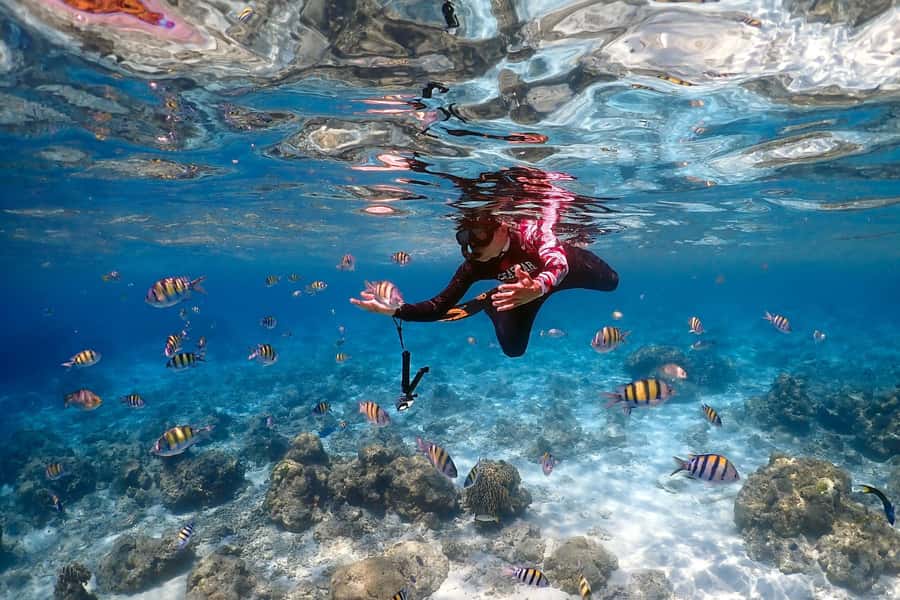 Phuket: Racha Islands Premium Tour with Snorkel & Lunch - Maiton Island pass: dolphin spotting as a bonus