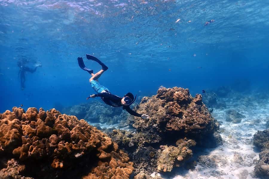 Phuket: Racha Islands Premium Tour with Snorkel & Lunch - The pickup, check-in, and the early-morning rhythm