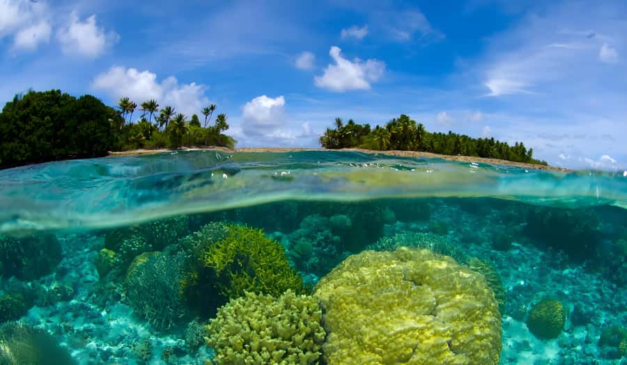 Phuket: Racha Noi & Maiton Catmaran Tour with Beach Picnic - Racha Noi: snorkeling paradise and a beach picnic you’ll actually enjoy