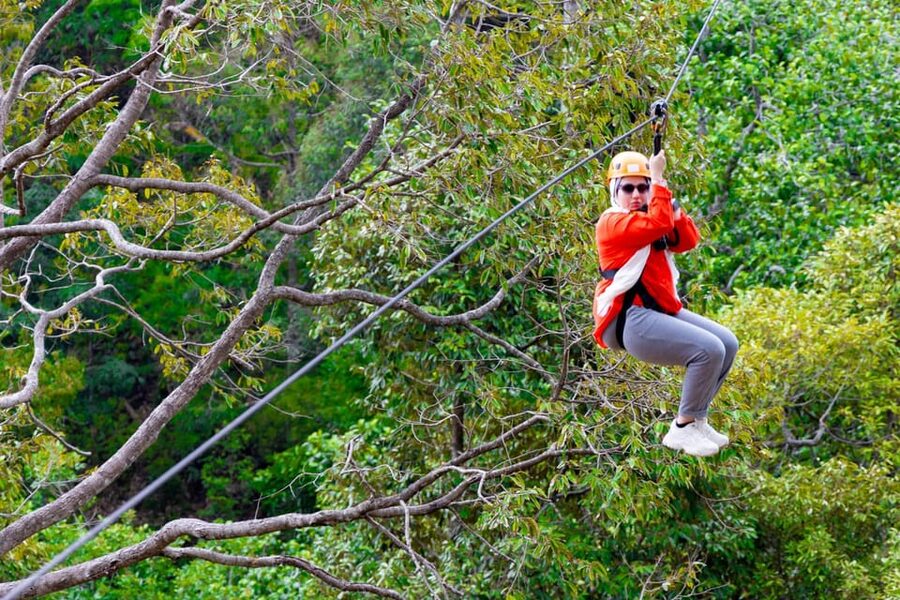 Phuket: Rainforest Eco Zipline Expedition - The Views You’ll Remember: Phuket From Above and the Andaman Sea