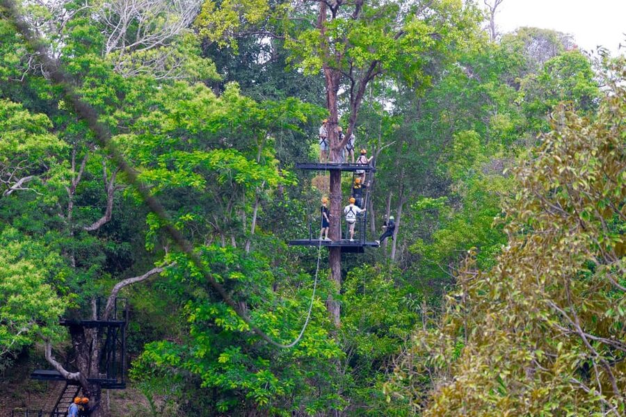 Phuket: Rainforest Eco Zipline Expedition - From Check-In to Takeoff: Registration, Safety Briefing, and Gear